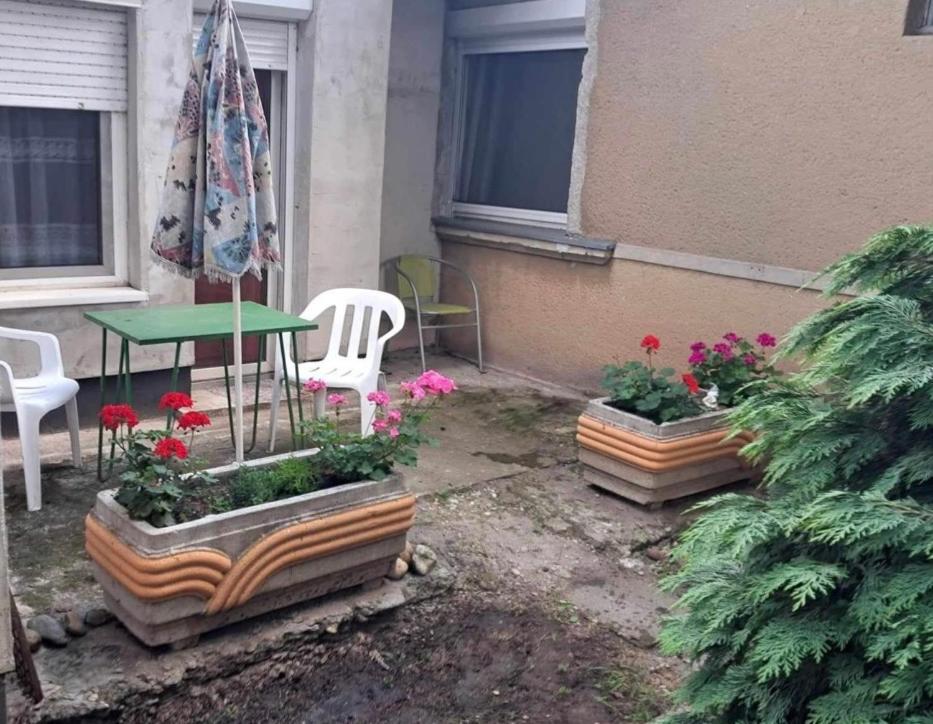 2 Rooms Retro Guesthouse In A Silent Garden Vecsés Exteriér fotografie